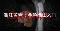 浙江黄岩：金色梯田入画来